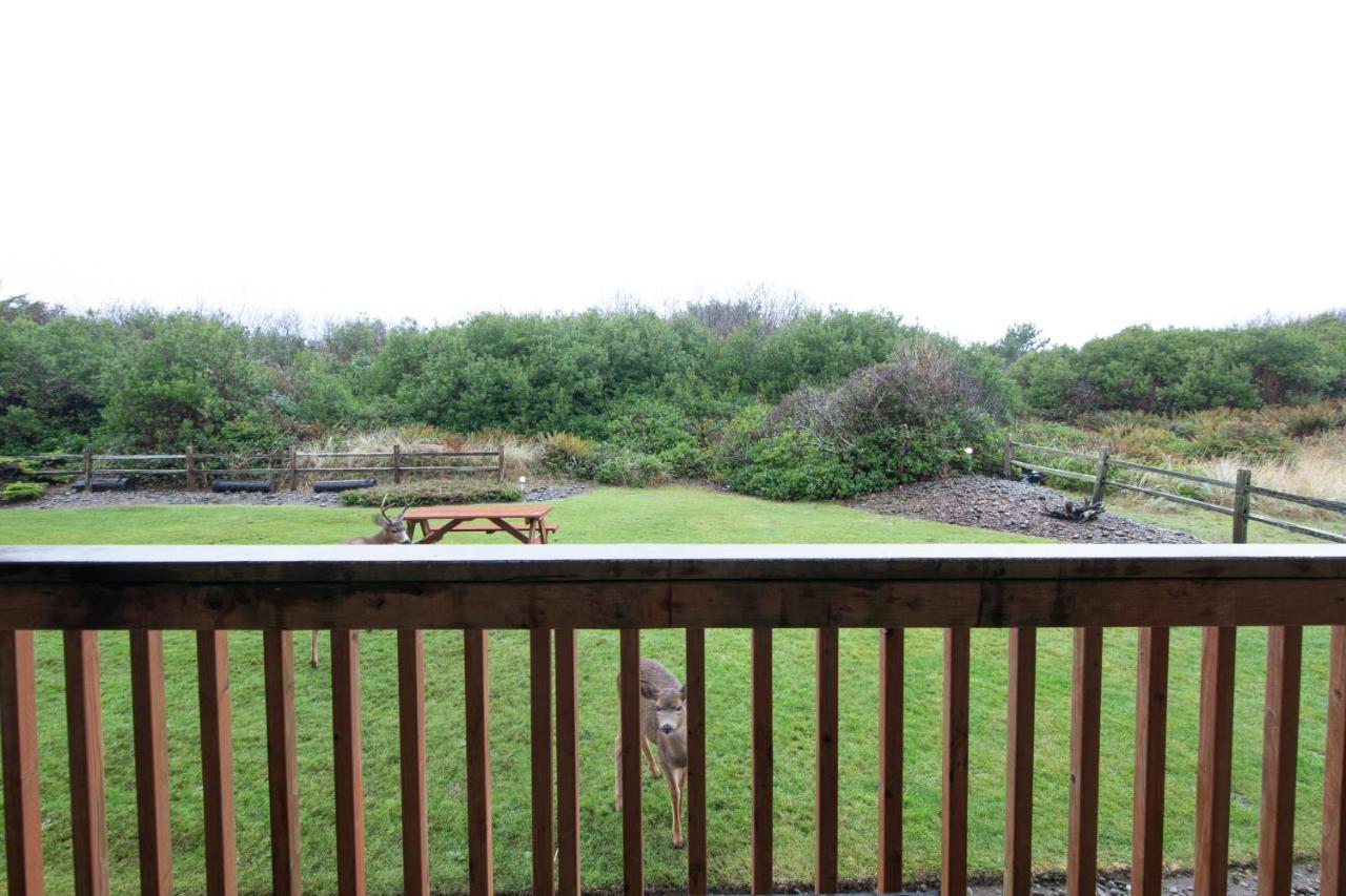 Aurora At Nautilus - Pet Friendly Oceanfront Condo Ocean Shores Exterior photo